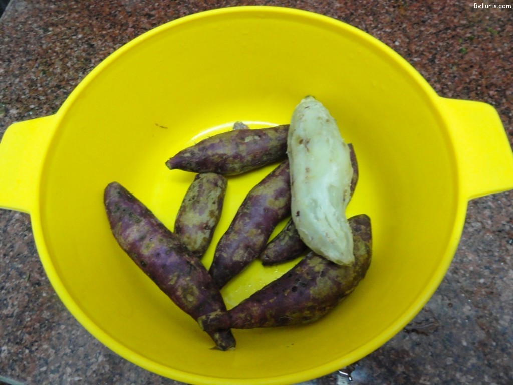 Boiled Sweet Potato